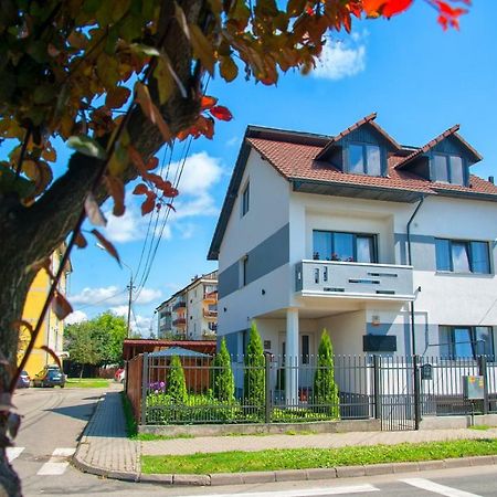 Vila Roza Sighetu Marmatiei Bagian luar foto