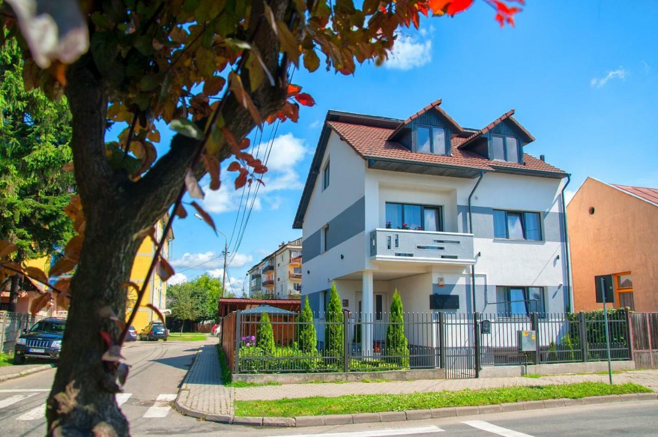 Vila Roza Sighetu Marmatiei Bagian luar foto